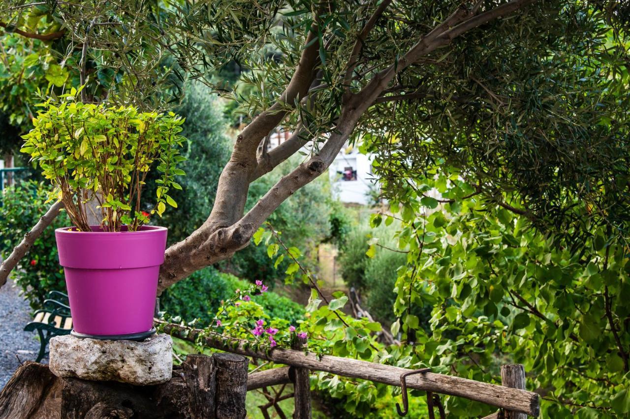 Chic & Spacious House In Rodia Heraklion מראה חיצוני תמונה